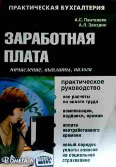 Книга Пантелеев А.С. Заработная плата Начисление Выплаты Налоги, 11-19234, Баград.рф